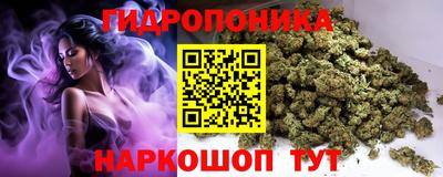 apvp Балашиха