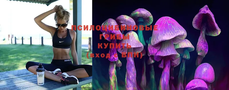 Псилоцибиновые грибы Magic Shrooms  магазин продажи наркотиков  Качканар 