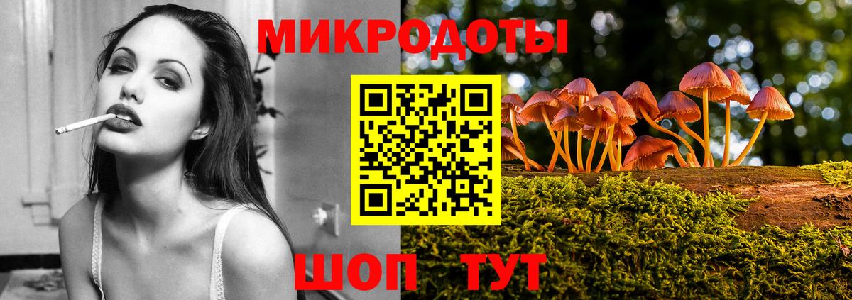 Галлюциногенные грибы Psilocybe Качканар
