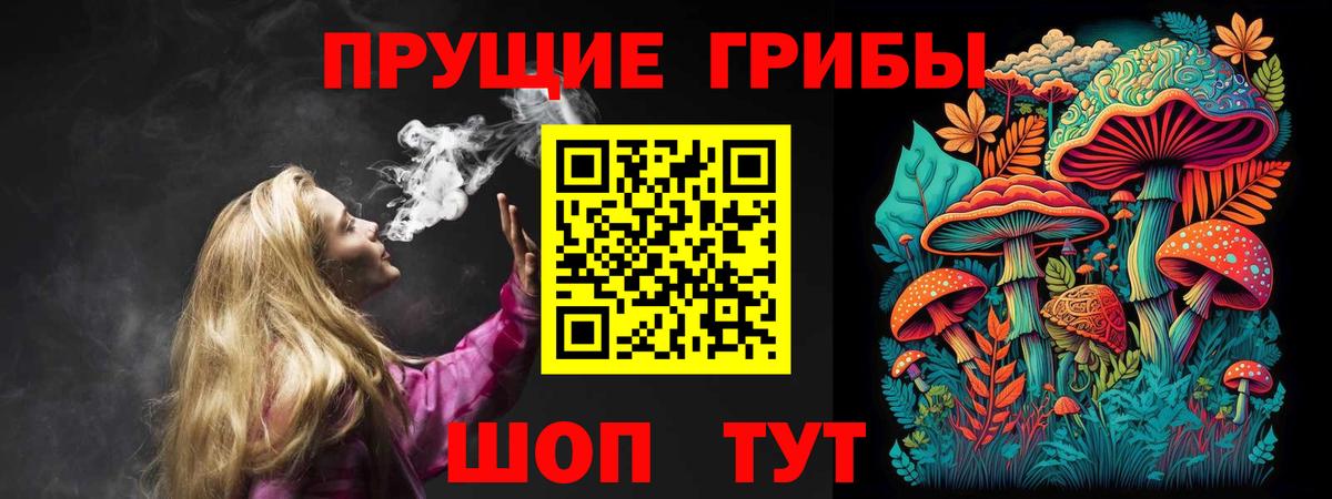 Псилоцибиновые грибы Psilocybe Качканар